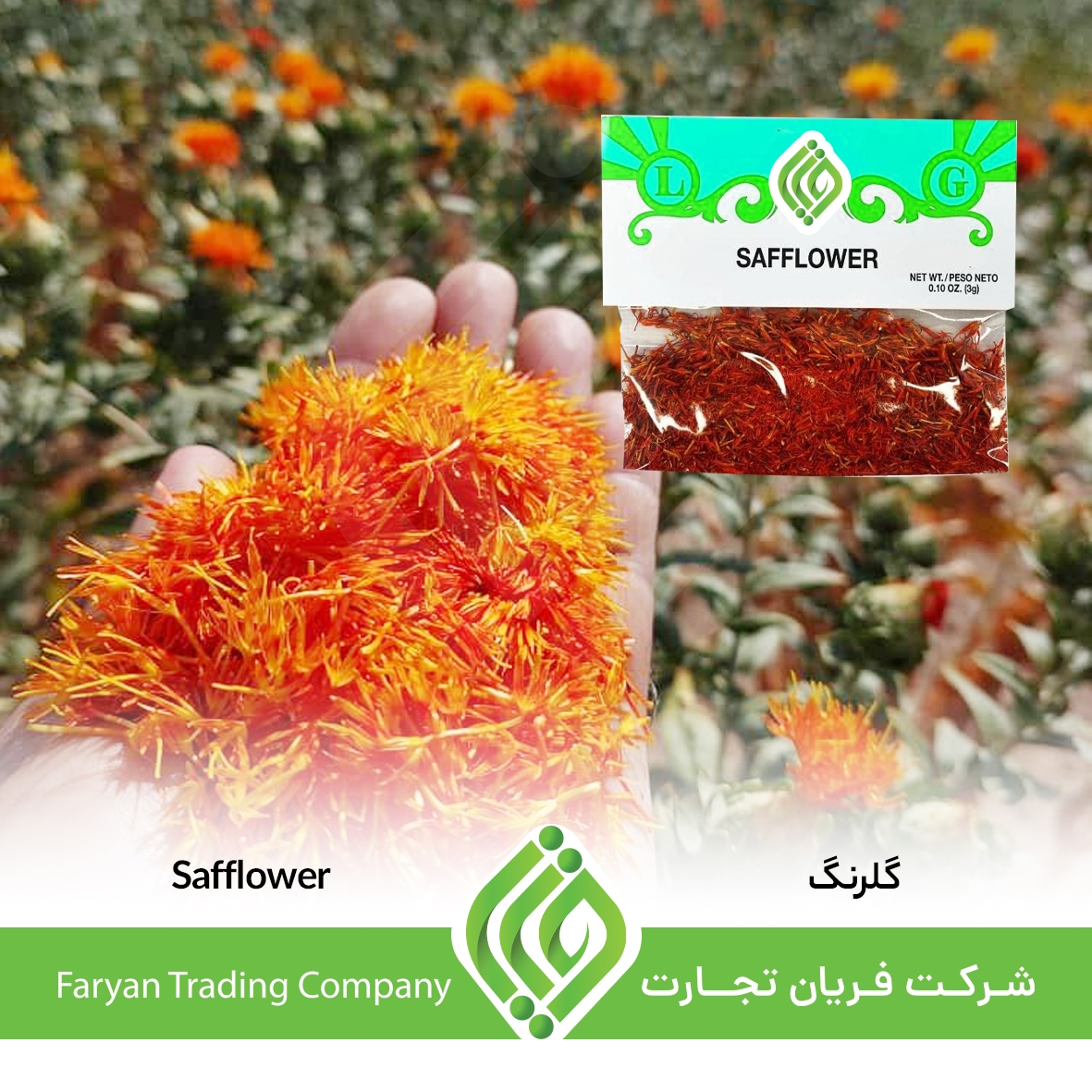 Safflower