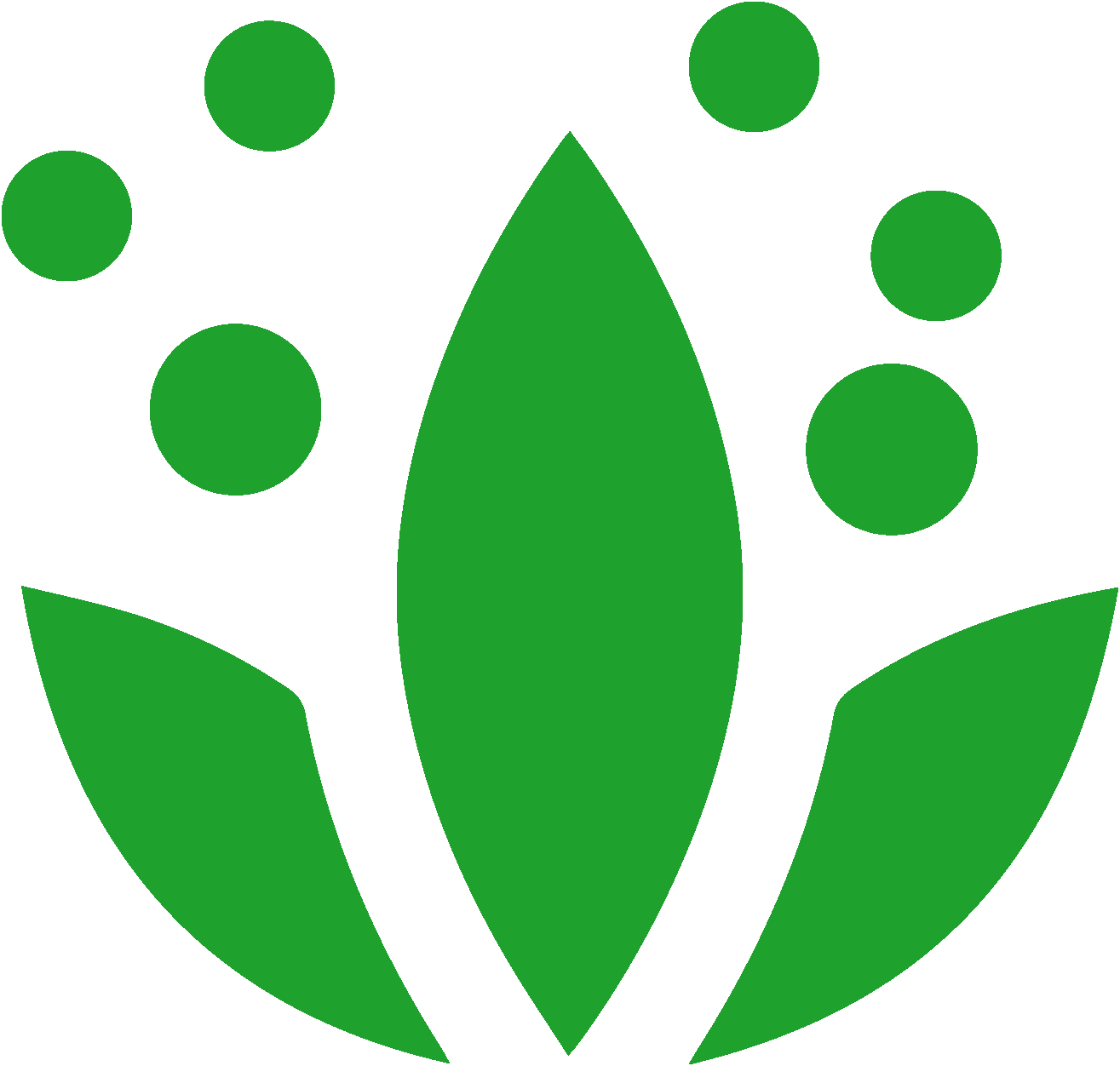 Aromatic and spicy herbs