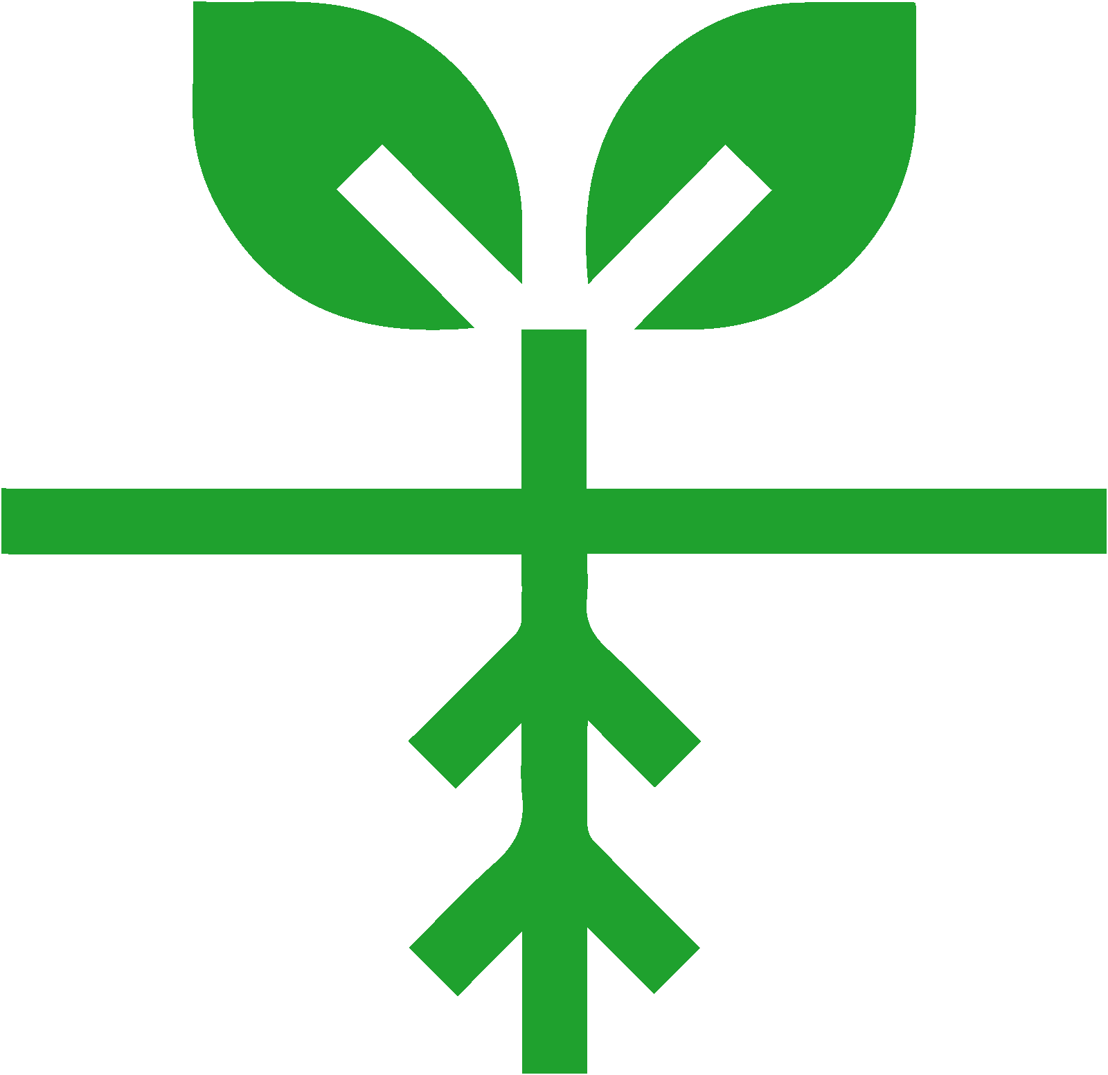 Root medicinal plants