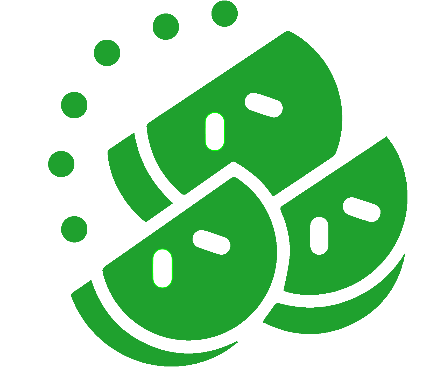 Production and packaging of cold and tropical dried fruits