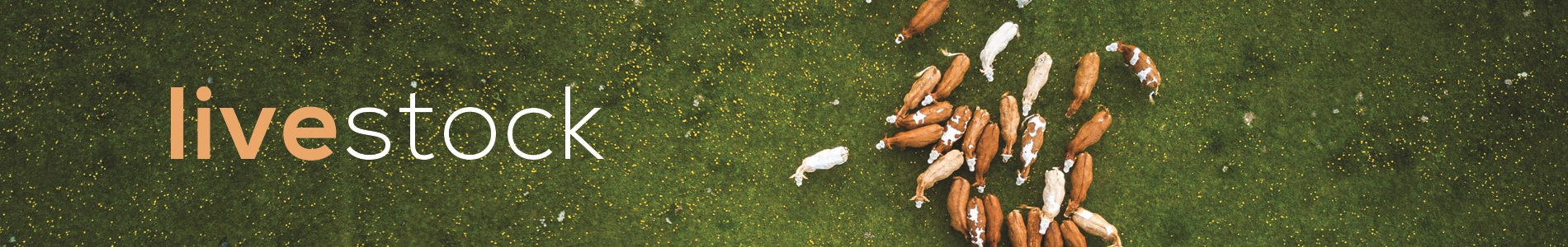 Livestock and aquatic affairs