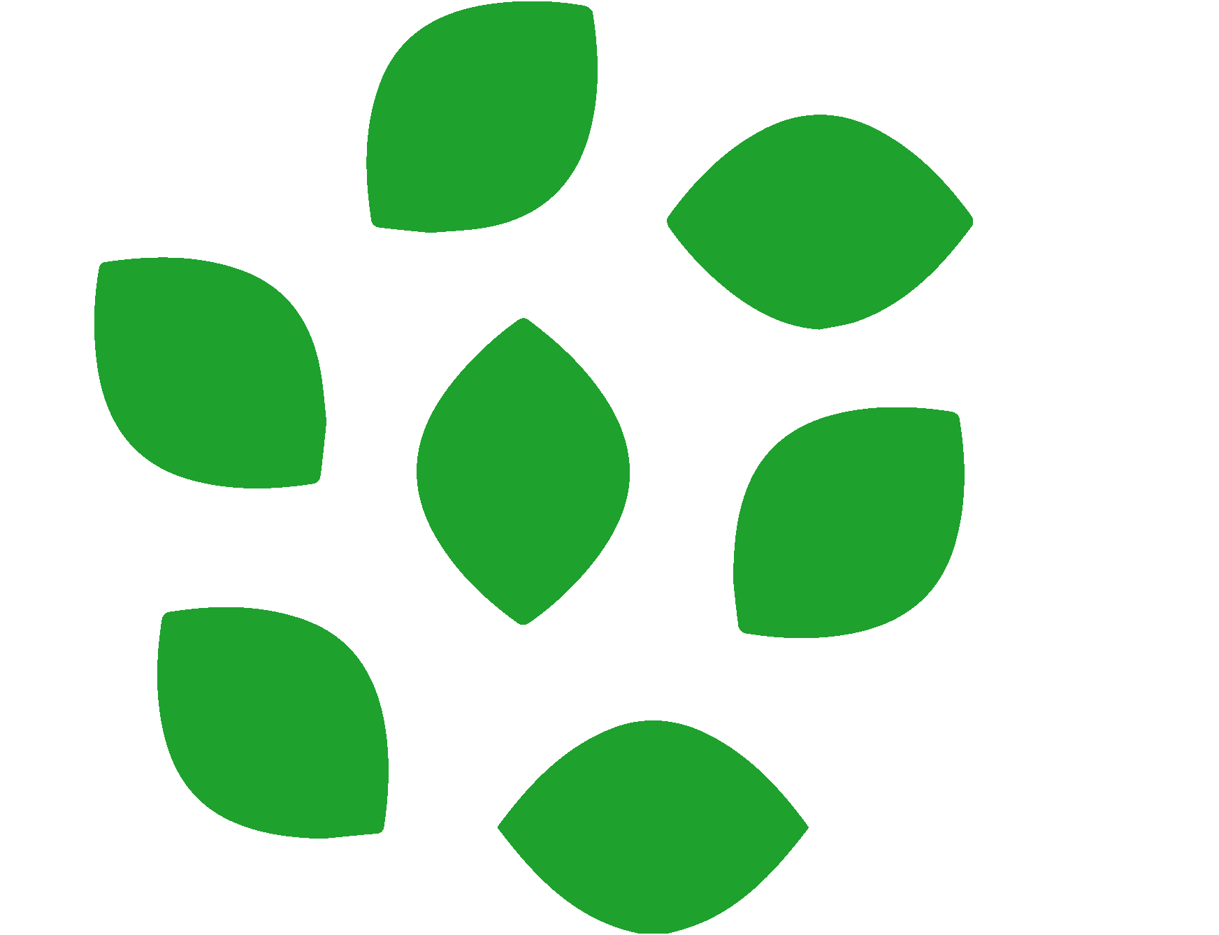 Seeds and transplants